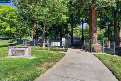 891 Livorna Rd, Alamo, CA 94507 - Photo 56