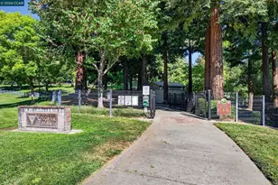 891 Livorna Rd, Alamo, CA 94507 - Photo 56