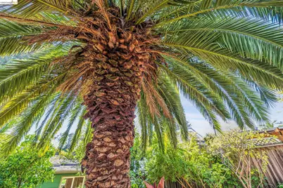 4624 Steele St, Oakland, CA 94619 - Photo 42