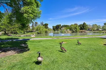 3712 Los Flores Ave, Concord, CA 94519 - Photo 26