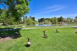 3712 Los Flores Ave, Concord, CA 94519 - Photo 26