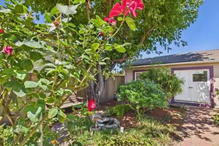 3621 Rhoda Ave, Oakland, CA 94602 - Photo 52