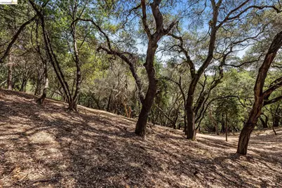 0 Mendenhall Rd, Oakland, CA 94605 - Photo 12
