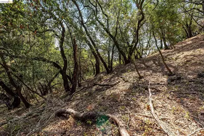 0 Mendenhall Rd, Oakland, CA 94605 - Photo 18