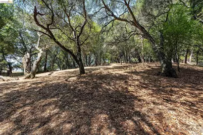 0 Mendenhall Rd, Oakland, CA 94605 - Photo 16