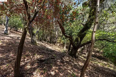 0 Mendenhall Rd, Oakland, CA 94605 - Photo 20