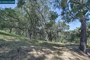 1332 Singingwood Ct, Walnut Creek, CA 94595 - Photo 42