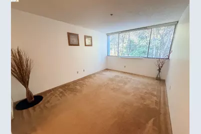 555 Pierce St #1021, Albany, CA 94706 - Photo 22
