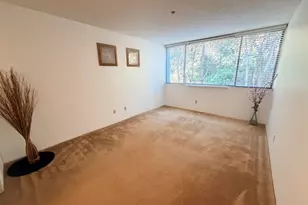 555 Pierce St, Albany, CA 94706 - Photo 22