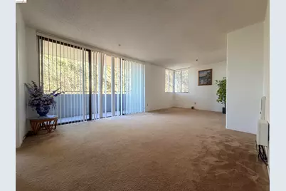 555 Pierce St #1021, Albany, CA 94706 - Photo 4