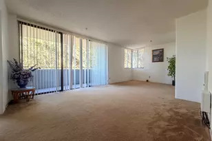 555 Pierce St, Albany, CA 94706 - Photo 4