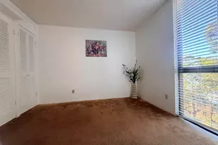 555 Pierce St, Albany, CA 94706 - Photo 18