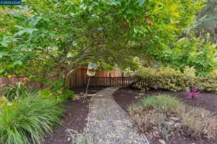 2749 Newell Ave, Lafayette, CA 94595 - Photo 38