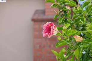 15040 Costela St, San Leandro, CA 94579 - Photo 60