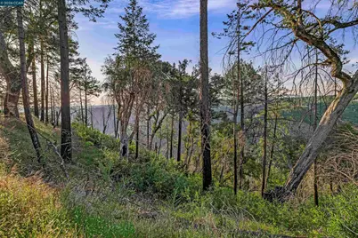 6479 Gregory Ln, Paradise, CA 95969 - Photo 14