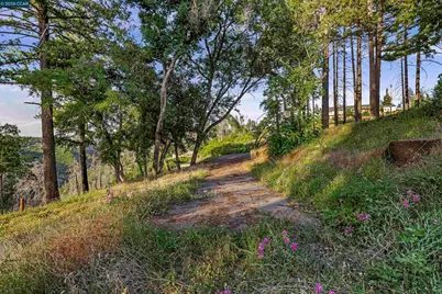 6479 Gregory Ln, Paradise, CA 95969 - Photo 6