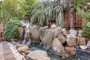 111 Silver Cloud Pl, Danville, CA 94526 - Photo 36