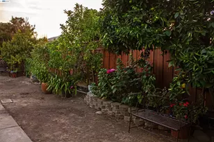 48 Cragmont Ave, San Jose, CA 95127 - Photo 48