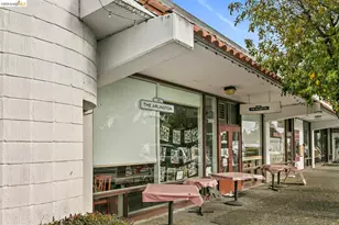 355 Arlington Ave, Berkeley, CA 94707 - Photo 62