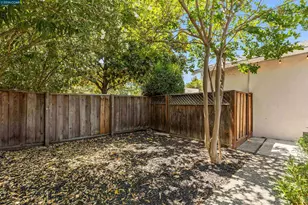 616 Minert Rd, Walnut Creek, CA 94598 - Photo 48