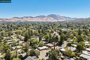247 Los Cerros Ave, Walnut Creek, CA 94598 - Photo 66