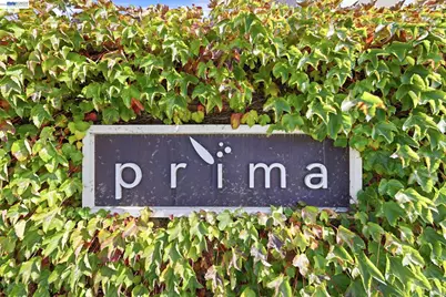 38935 Primula Ter, Newark, CA 94560 - Photo 44