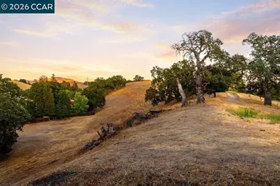 925 Beech Drive, Walnut Creek, CA 94596 - Photo 56