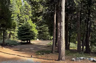 91 Segale Dr, Camp Connell, CA 95223 - Photo 34