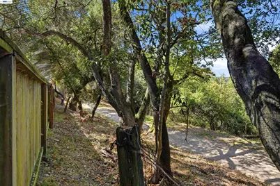 4618 Ewing Rd, Castro Valley, CA 94546 - Photo 48