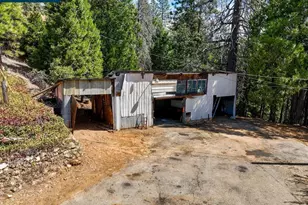 3501 Braden Rd, Camino, CA 95709 - Photo 10