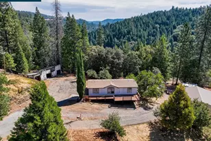 3501 Braden Rd, Camino, CA 95709 - Photo 4