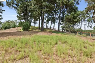 13474 Skyline Blvd, Oakland, CA 94619 - Photo 56