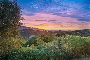 65 Bates Blvd, Orinda, CA 94563 - Photo 30