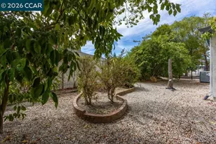 395 Marti Marie Dr, Martinez, CA 94553 - Photo 26