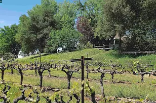 10580 Dickson Rd, Plymouth, CA 95669 - Photo 58