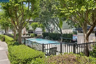 1392 Danville Blvd, Alamo, CA 94507 - Photo 30