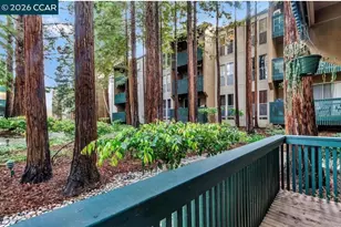 1236 Walker Ave, Walnut Creek, CA 94596 - Photo 18