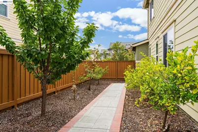 33524 Mustang St, Fremont, CA 94555 - Photo 46