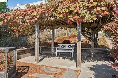 38 Highgate, Kensington, CA 94707 - Photo 44