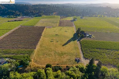 838 Dry Creek, Healdsburg, CA 95448 - Photo 10