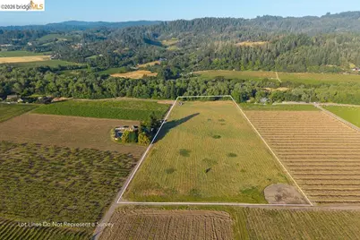838 Dry Creek, Healdsburg, CA 95448 - Photo 4