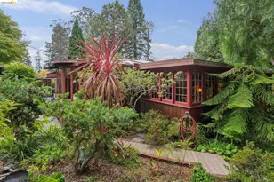 19 Sunset Dr, Kensington, CA 94707 - Photo 64