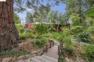 19 Sunset Dr, Kensington, CA 94707 - Photo 66