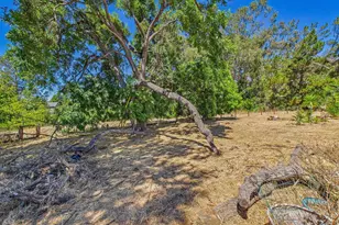 327 Steven Cir, Benicia, CA 94510 - Photo 46