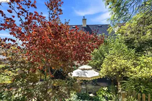893 Santa Barbara Rd, Berkeley, CA 94707 - Photo 54