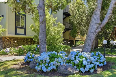 955 Shorepoint Court #208, Alameda, CA 94501 - Photo 22
