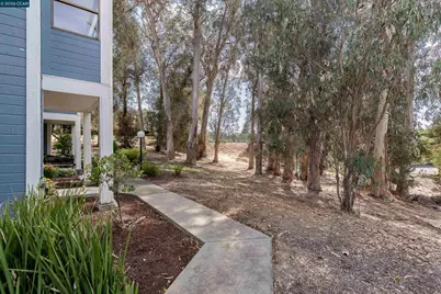 803 Orion #6, Hercules, CA 94547 - Photo 8