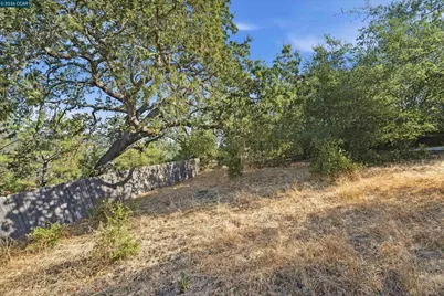 0 Hamlin Rd, Lafayette, CA 94549 - Photo 6