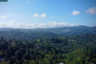 11 Las Palomas, Orinda, CA 94563 - Photo 28