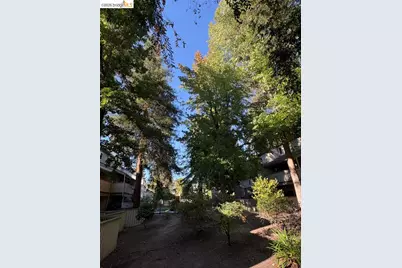 2704 Oak Rd #75, Walnut Creek, CA 94597 - Photo 54